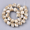 Natural Trochid Shell/Trochus Shell Beads Strands X-SSHEL-N032-01-2