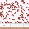 MIYUKI Delica Beads SEED-X0054-DB2288-4