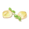 Translucent Resin Fruit Cabochons RESI-G072-03E-2