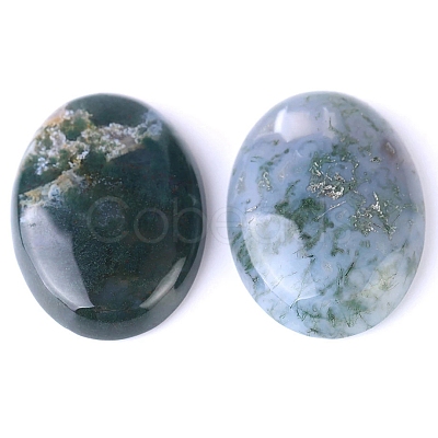 Natural Indian Agate Cabochons PW-WG8E62B-01-1