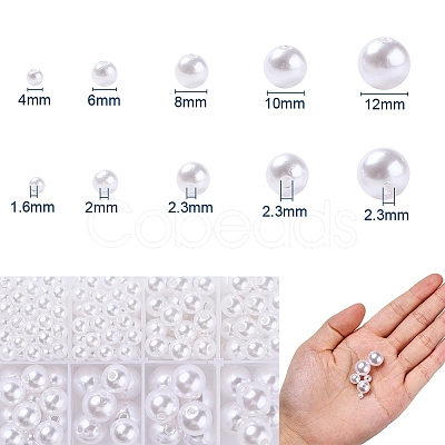 443Pcs 5 Sizes ABS Plastic Imitation Pearl Beads KY-YW0001-10-1