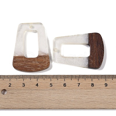 Resin & Wood Pendants WOOD-F015-11A-1