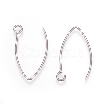 Tarnish Resistant 304 Stainless Steel Earring Hooks X-STAS-L216-03A-P-1