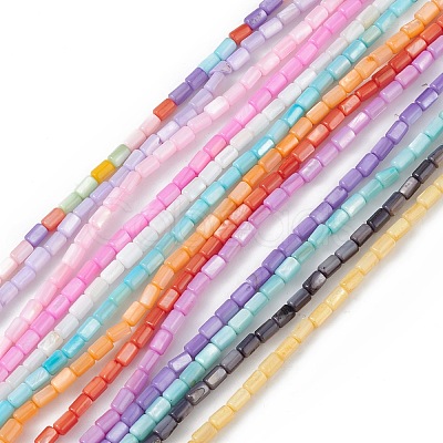 Natural Freshwater Shell Dyed Beads Strands SHEL-M018-12-1