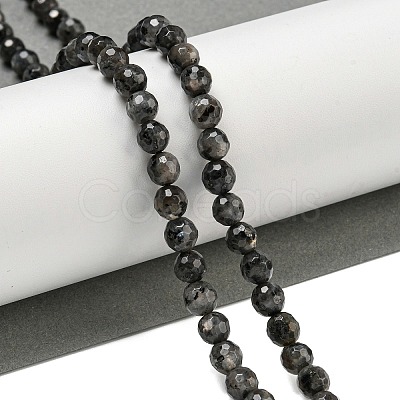 Natural Larvikite Beads Strands G-E571-A09-01-1