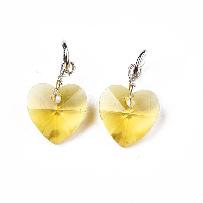 Faceted Transparent Glass Charms GLAA-T024-04K-1