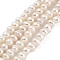 Natural Cultured Freshwater Pearl Beads Strands, Potato, PapayaWhip, 3~4mm, Hole: 0.5mm, about 44~53pcs/strand, 6.69~7.28 inch(17~18.5cm)