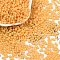 Baking Paint Glass Seed Beads, Peanut, Orange, 6x3.5x3mm, Hole: 1mm, about 4500pcs/pound