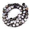 Natural Freshwater Shell Beads Strands X-SHEL-S276-110B-01-2