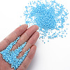 13/0 Glass Seed Beads SEED-T005-14A-A20-5
