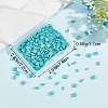 CREATCABIN 300Pcs 3 Style 2-Hole Baking Painted Glass Seed Beads SEED-CN0001-06-7