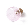 Miniature Glass Bottles GLAA-H019-04G-2