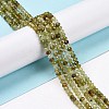 Natural Green Garnet Beads Strands G-E194-05-2