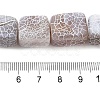 Natural Weathered Agate Beads Strands G-Q169-B04-01-5