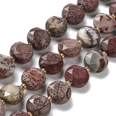 Natural America Picture Jasper Beads Strands G-NH0004-035-1