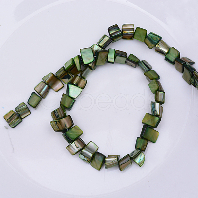 Natural Shell Beads Strands PBB050Y-1