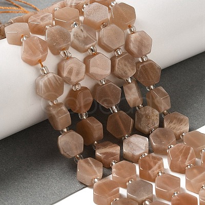 Natural Sunstone Beads Strands G-P534-A09-01-1