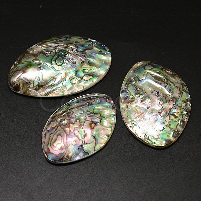 Oval Paua Shell Cabochons BSHE-M020-07-1