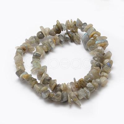 Natural Labradorite Beads Strands G-F521-13-1