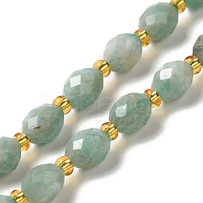 Natural Amazonite Beads Strands G-H297-C07-01-1