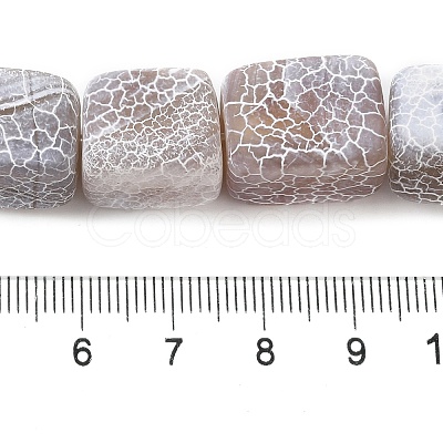 Natural Weathered Agate Beads Strands G-Q169-B04-01-1