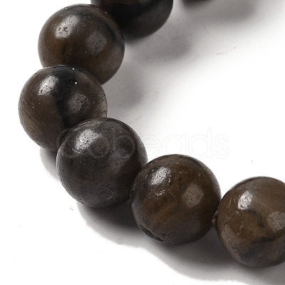 Natural Chiastolite Beads Strands G-Q161-A03-05-1