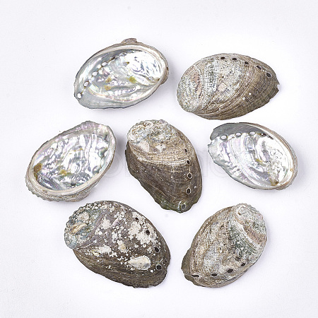 Abalone Shell/Paua Shell Beads SSHEL-S258-38-1