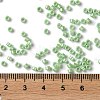 Baking Paint Glass Seed Beads X-SEED-S042-15A-08-4