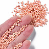 Glass Seed Beads SEED-S060-A-F414-4