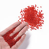Glass Seed Beads SEED-US0003-3mm-5-4