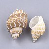 Conch Shell Beads SSHEL-S258-55-2