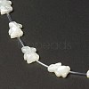 Natural White Shell Mother of Pearl Shell Beads BSHE-B005-01-3