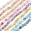 CHGCRAFT 7 strands 7 colors Drawbench Freshwater Shell Beads Strands SHEL-CA0001-010-1