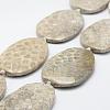 Natural Fossil Coral Beads Strands G-K180-F03-1