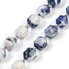 Natural Sodalite Beads Strands G-O201B-112F-2