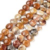 Flat Round Natural Crazy Lace Agate Beads Strands G-S110-12mm-05-1