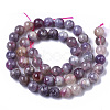 Natural Purple Red Tourmaline  Beads Strands G-N327-02A-01-2
