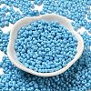 Baking Paint Glass Seed Beads SEED-K009-01A-06-2