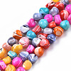 Natural Trochid Shell/Trochus Shell Beads Strands SSHEL-N032-56-1