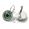 Eye Glass Leverback Earrings with Brass Earring Pins EJEW-Q798-01E-2