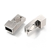 Tarnish Resistant 304 Stainless Steel Magnetic Clasps with Glue-in Ends STAS-C020-06P-2