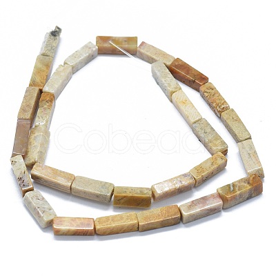 Natural Fossil Coral Beads Strands G-F631-E05-1