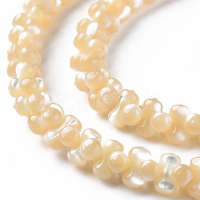 Natural Trochid Shell/Trochus Shell Bead Strands SSHEL-N034-104-A01-1