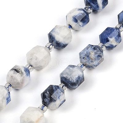 Natural Sodalite Beads Strands G-O201B-112F-1