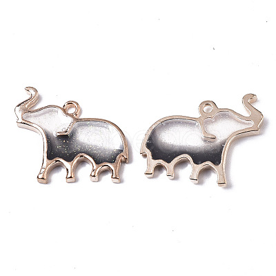 Alloy Resin Pendants RESI-R430-05A-LF-1