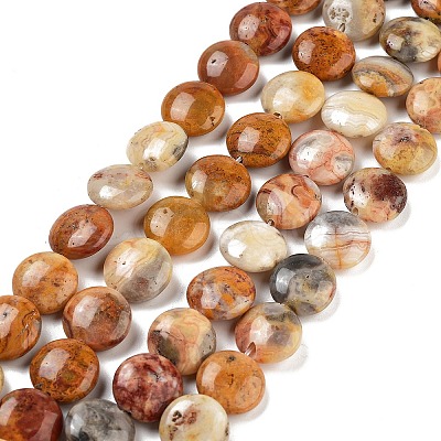 Flat Round Natural Crazy Lace Agate Beads Strands G-S110-12mm-05-1