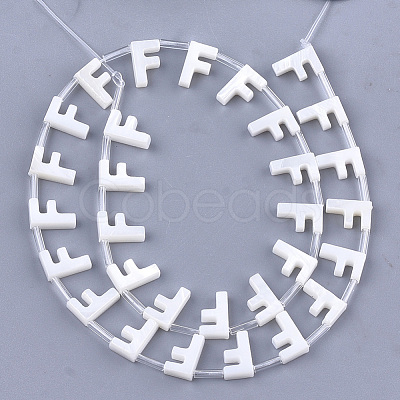 Natural Freshwater Shell Beads SHEL-T012-59F-1