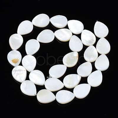 Natural Freshwater Shell Beads Strands SHEL-S278-068-1