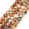 Flat Round Natural Crazy Lace Agate Beads Strands, Pale Goldenrod, 12x5mm, Hole: 1mm, about 33pcs/strand, 15.7 inch