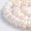 Natural Pink Shell Beads Strands X-SSHEL-L016-19-2